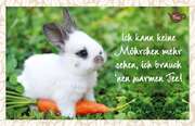 Reinhard Engeln - Tee-Postkarte - Ich kann keine Möhren mehr sehen, Tee-Postkarte - Ich kann keine Möhren mehr sehen,