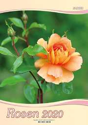 Rosen 2020 - 2 in 1-Wandkalender Rosen 2020 - 2 in 1-Wandkalender