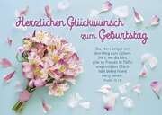 Postkarten: Herzlichen Glückwunsch, 4 Stück Postkarten: Herzlichen Glückwunsch, 4 Stück