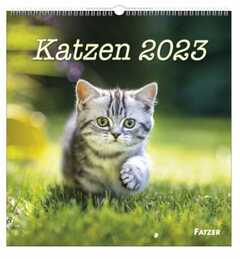 Katzen 2023 - Wandkalender