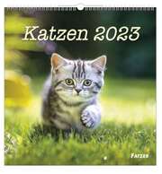 Katzen 2023 - Wandkalender Katzen 2023 - Wandkalender