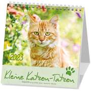Kleine Katzen-Tatzen 2023 Kleine Katzen-Tatzen 2023