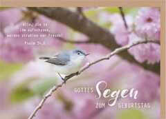 Faltkarte "Gottes Segen zum Geburtstag" - Vogel Faltkarte "Gottes Segen zum Geburtstag" - Vogel