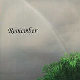 Don Potter - Remember Remember
