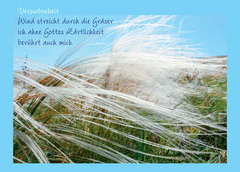Postkarte "Verwobenheit Wind streicht durch die Gräser..." - 5 Stück