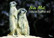Nur Mut, du schaffst es! - Faltkarte Nur Mut, du schaffst es! - Faltkarte