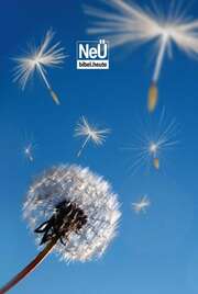 NeÜ Bibel.heute - Taschenausgabe - Motiv Pusteblume NeÜ Bibel.heute - Taschenausgabe - Motiv Pusteblume