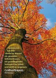 Phil Bosmans - Postkarten: Optimismus hat eine dreifache Wurzel, 12 Stück Postkarten: Optimismus hat eine dreifache Wurzel, 12 Stück