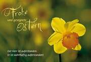 Faltkarte "Der Herr ist auferstanden" - Ostern Faltkarte "Der Herr ist auferstanden" - Ostern