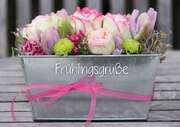 Tee-Postkarte - Frühlingsgrüße Tee-Postkarte - Frühlingsgrüße