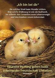 Phil Bosmans - Postkarten: Ich bin bei dir, 12 Stück Postkarten: Ich bin bei dir, 12 Stück